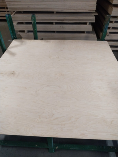 ООО "ПЕРСПЕКТИВА" ООО "ПЕРСПЕКТИВА"