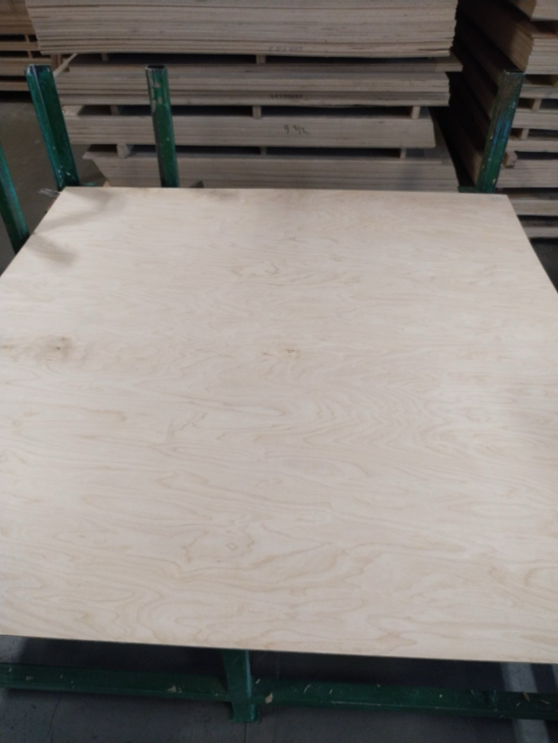 ООО "ПЕРСПЕКТИВА"